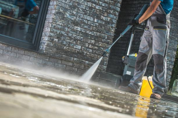 Best Rust Removal  in Donaldsonville, LA
