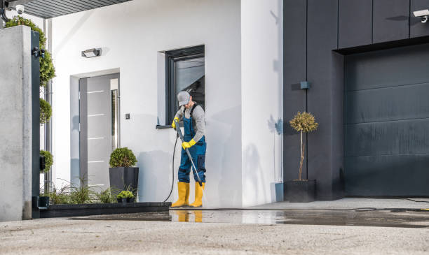 Animal Enclosure Cleaning in Donaldsonville, LA